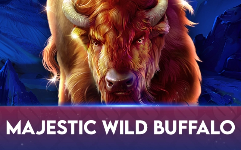 Majestic Wild Buffalo